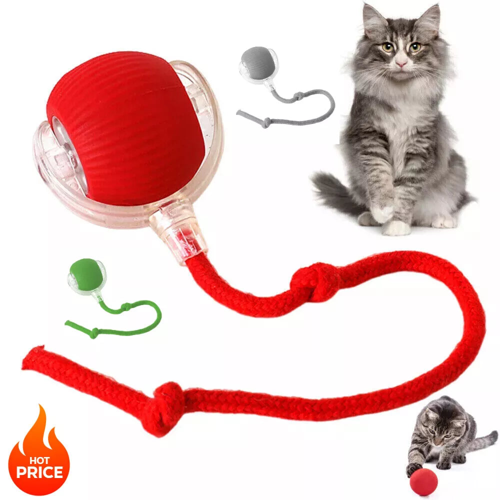 Smart Interactive Cats Ball Toy
