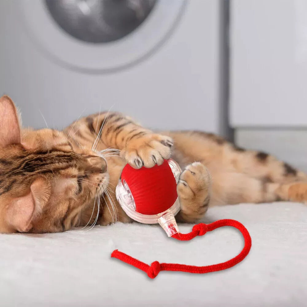 Smart Interactive Cats Ball Toy