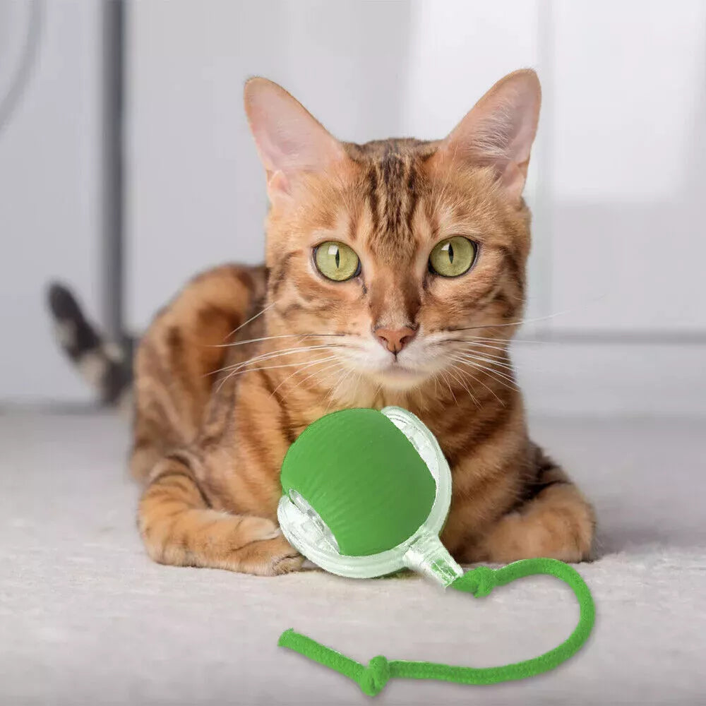 Smart Interactive Cats Ball Toy