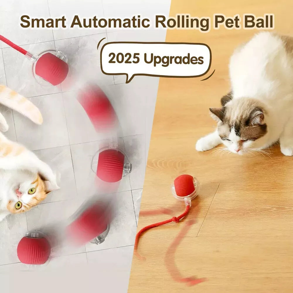 Smart Interactive Cats Ball Toy