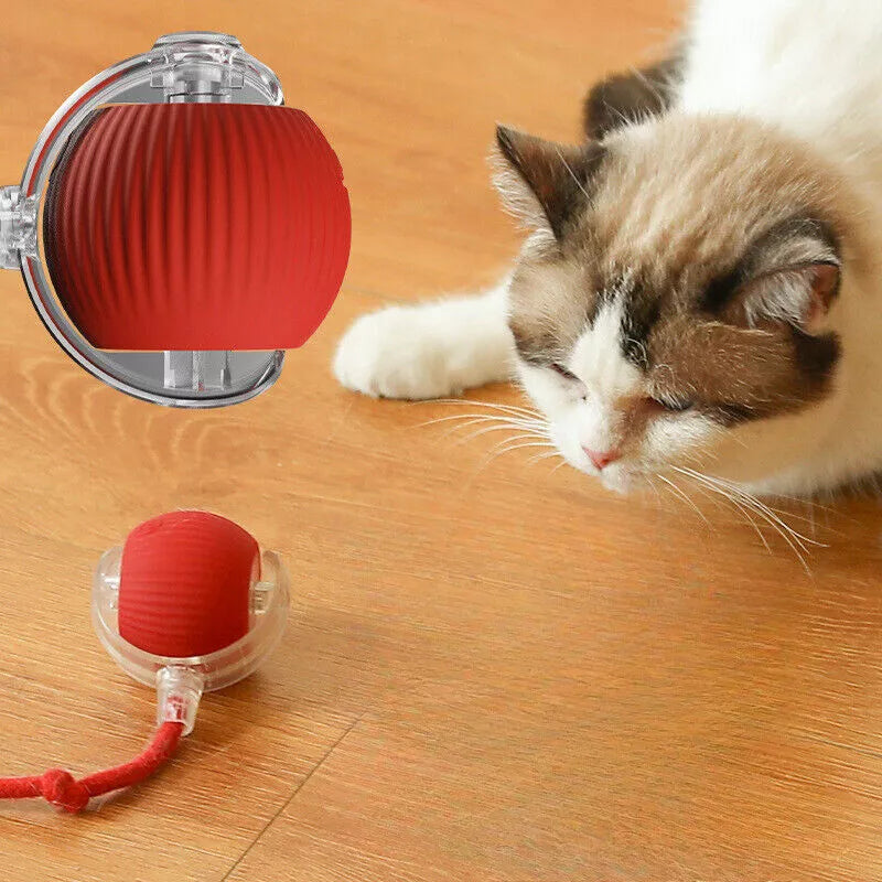 Smart Interactive Cats Ball Toy