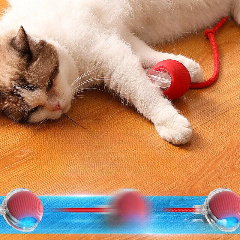 Smart Interactive Cats Ball Toy