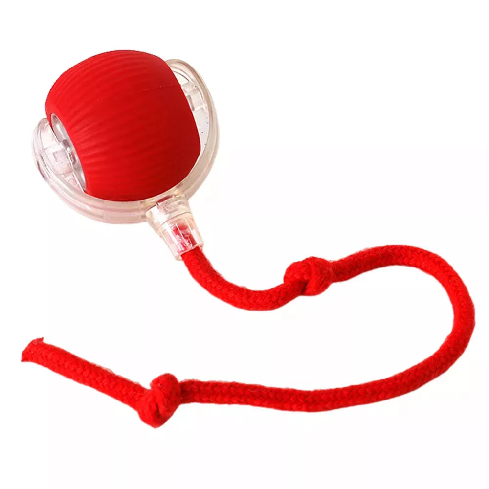 Smart Interactive Cats Ball Toy