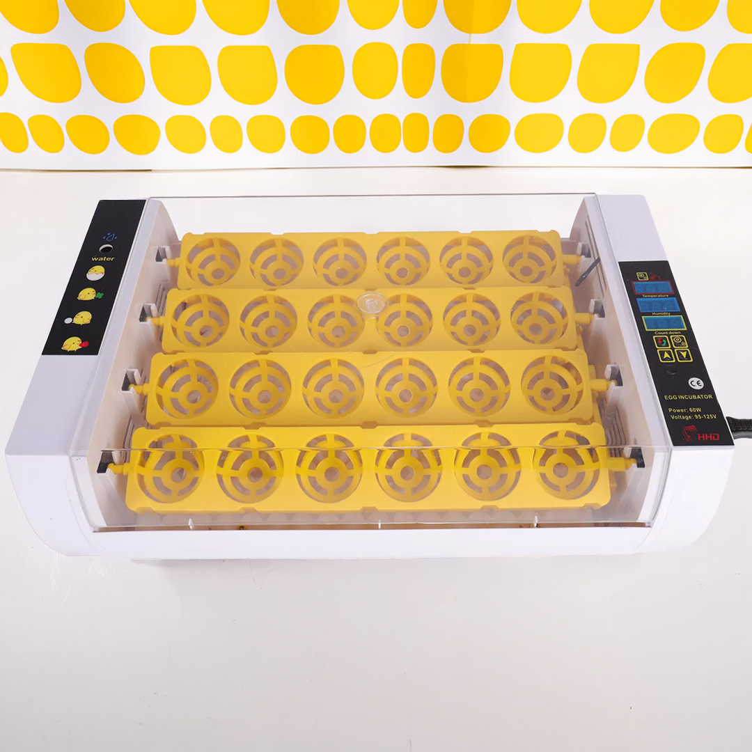 Automatic Egg Incubator