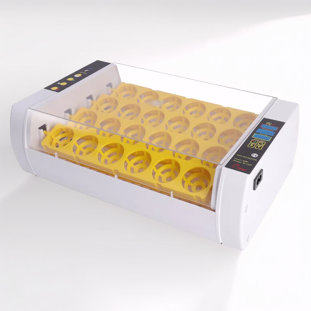 Automatic Egg Incubator