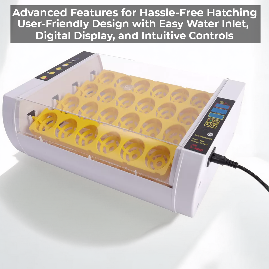 Automatic Egg Incubator