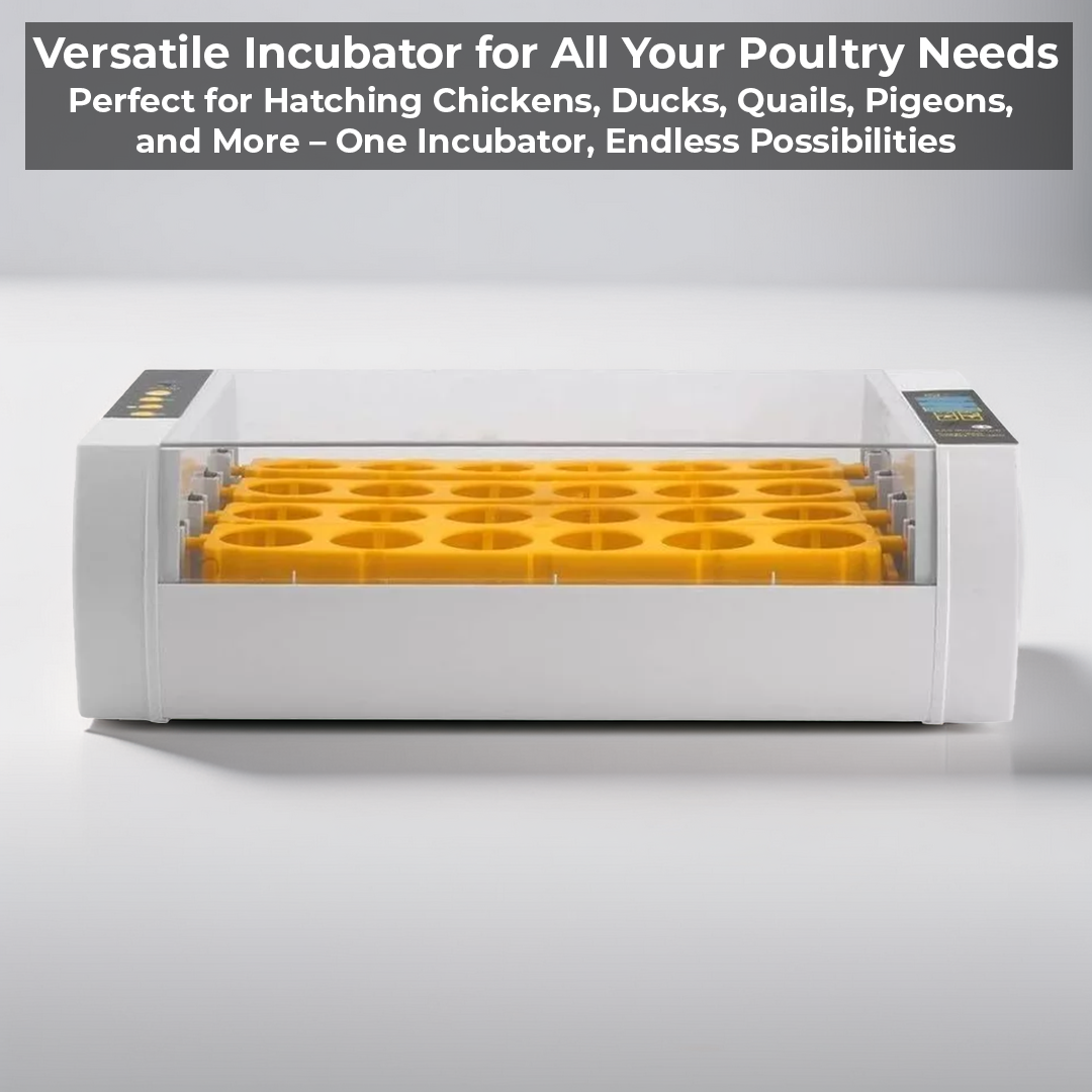 Automatic Egg Incubator
