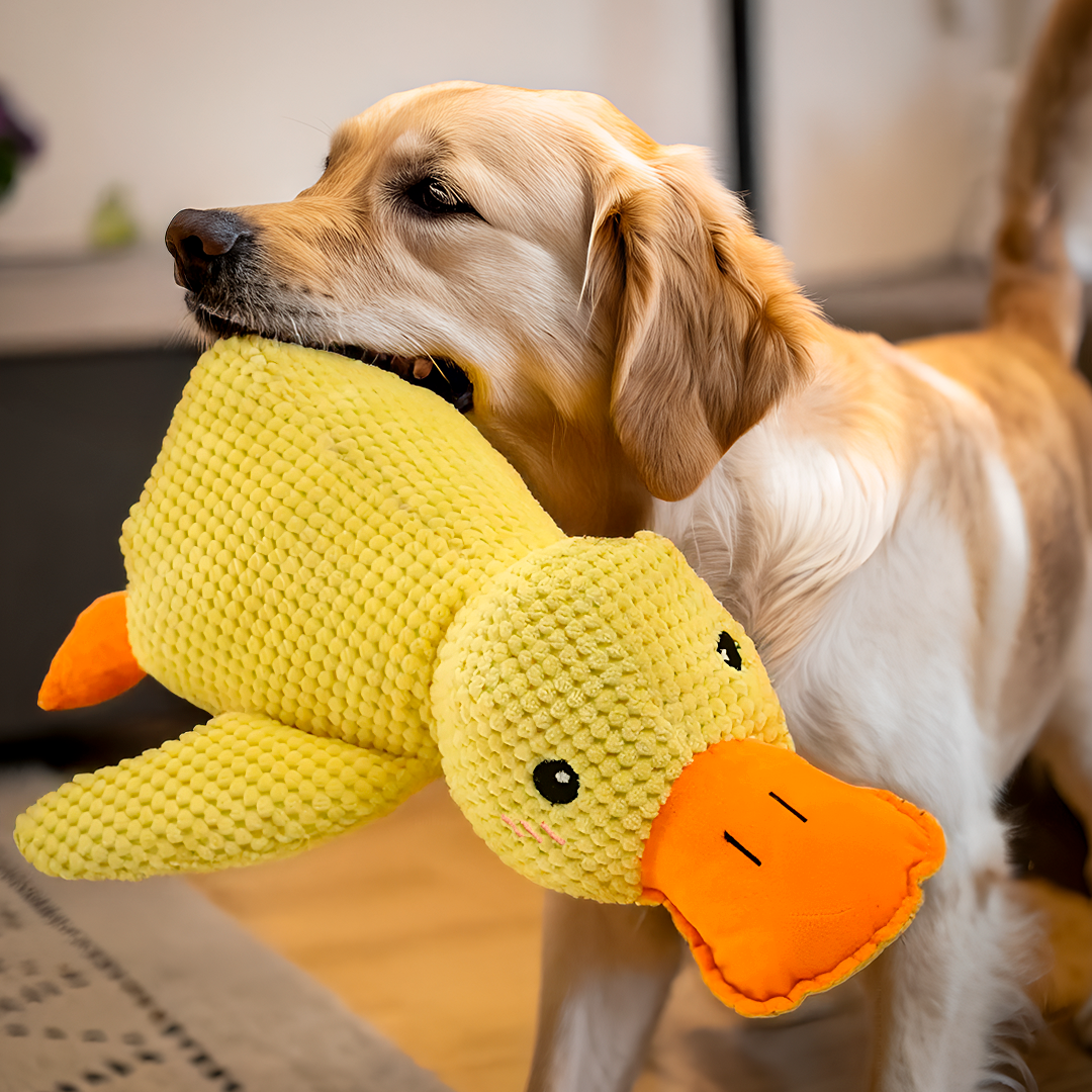 Calming Durable Duck – Squeaky, Tough, and Engaging Dog Toy