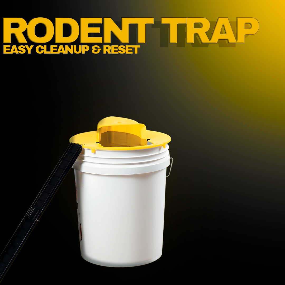 Humane Mouse Trap Bucket Cover