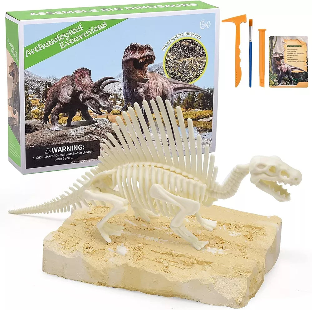 Dinosaur Fossil Digging Kit