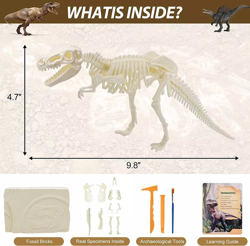 Dinosaur Fossil Digging Kit