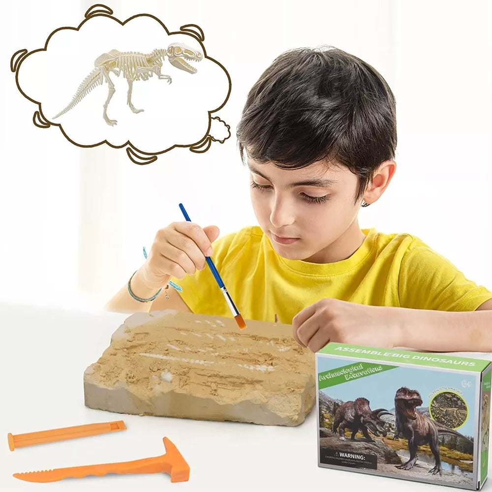 Dinosaur Fossil Digging Kit