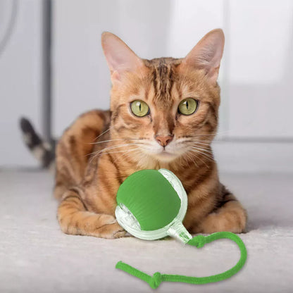 Smart Interactive Cats Ball Toy