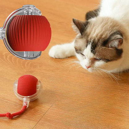Smart Interactive Cats Ball Toy