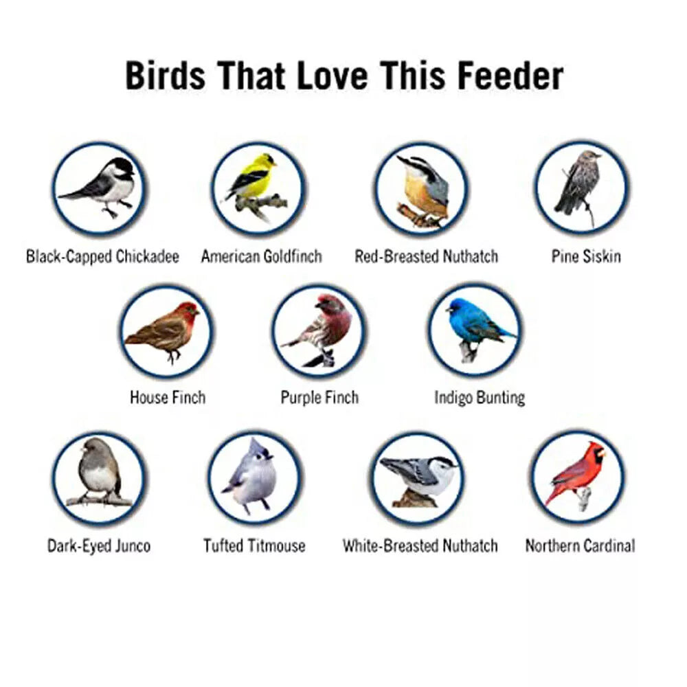 Squirrel Proof Bird Feeder