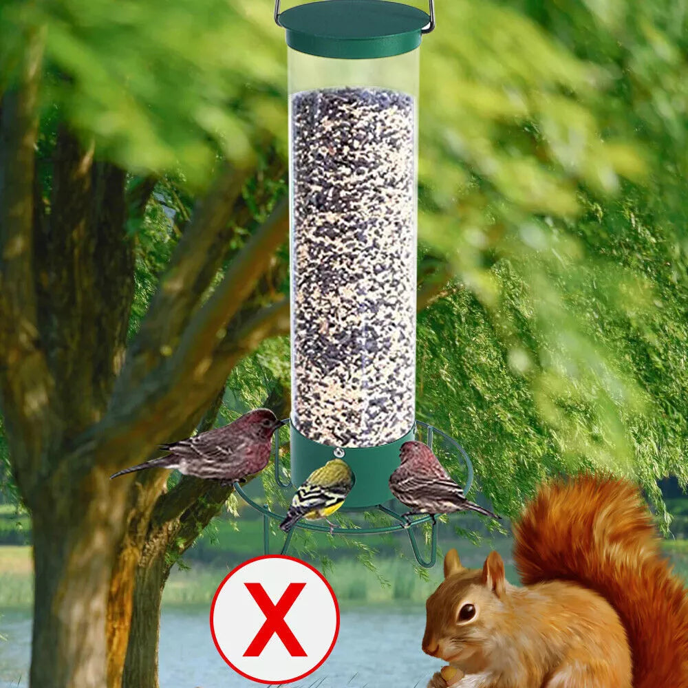 Squirrel Proof Bird Feeder