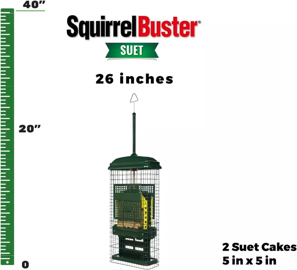 Squirrel Buster Suet Feeder